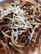 Olive Tapenade Vermicelli